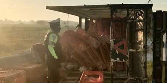 Kondisi truk  muat ayam  yang terguling di Tol Caruban 