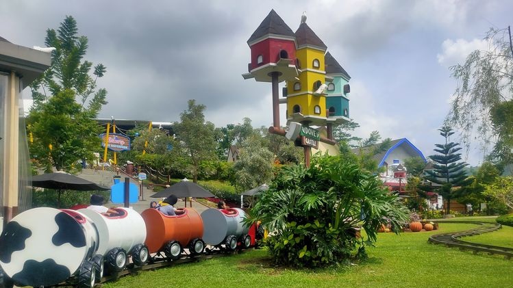 Cimory Dairyland - Galeri 3